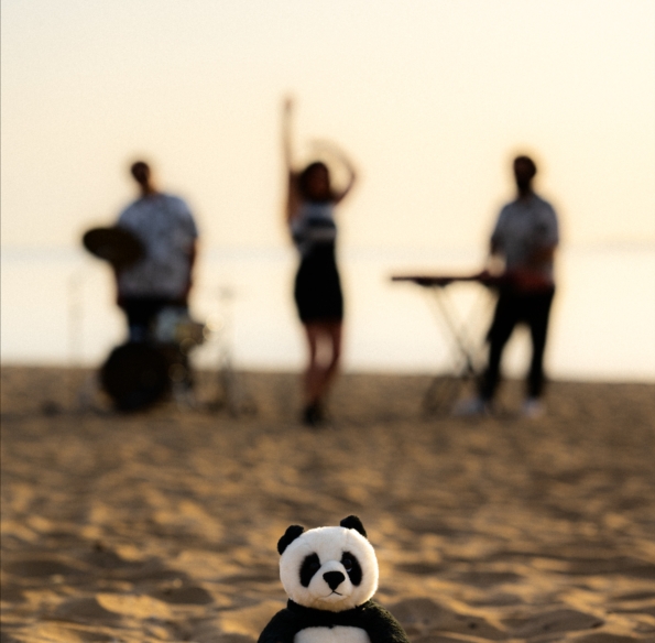 Fancy Panda Trio 