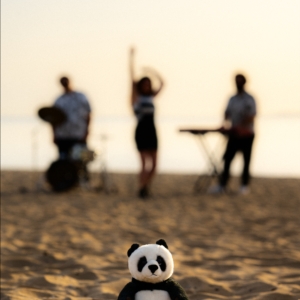 Fancy Panda Trio 
